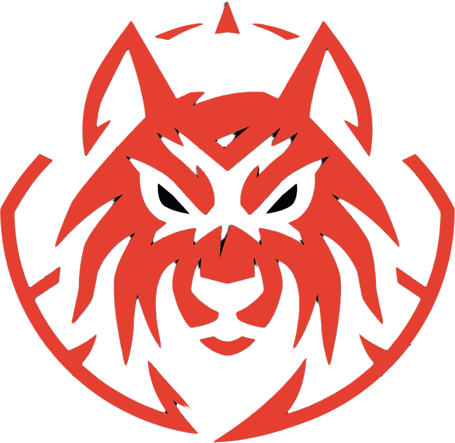 Skol eSports