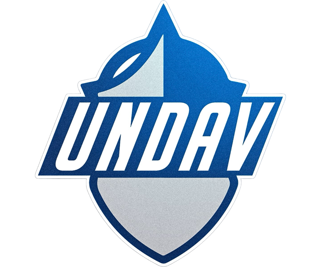 UNDAV ESPORTS